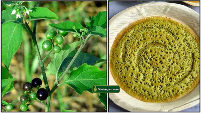 manathakkali-keerai-dosai