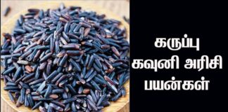 black rice benefits in Tamil