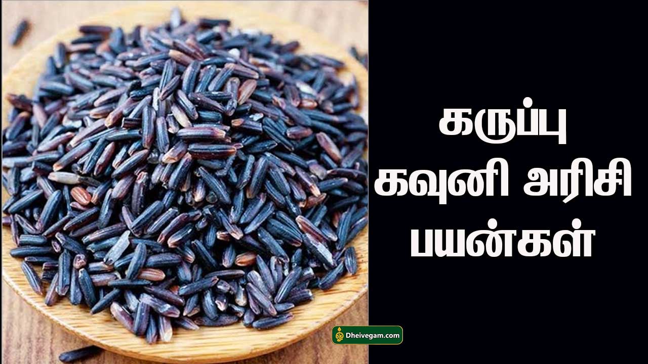 black-rice-benefits-in-tamil