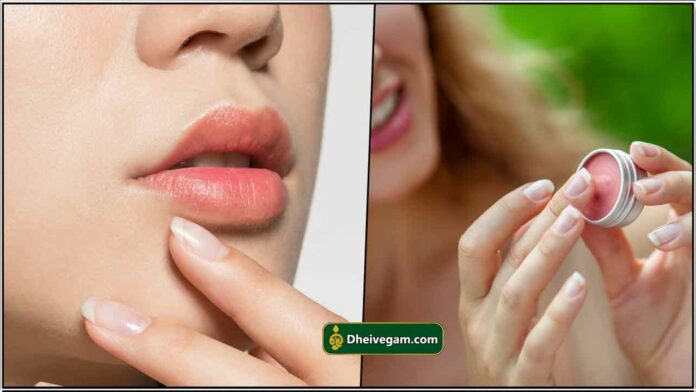 lip