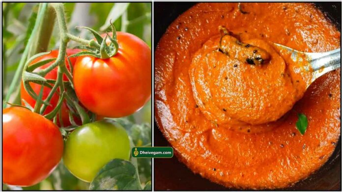 tomato-thakkli-chutney1_tamil