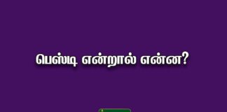 besti meaning in Tamil