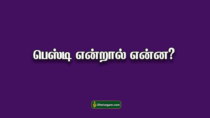 besti meaning in Tamil