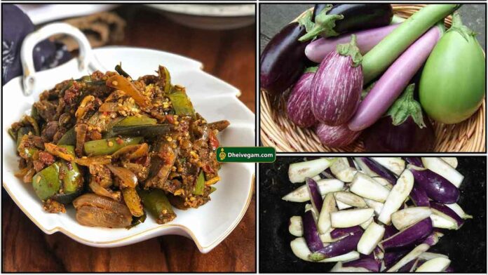 brinjal-garlic-fry1_tamil
