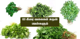 Keerai vagaigal in Tamil