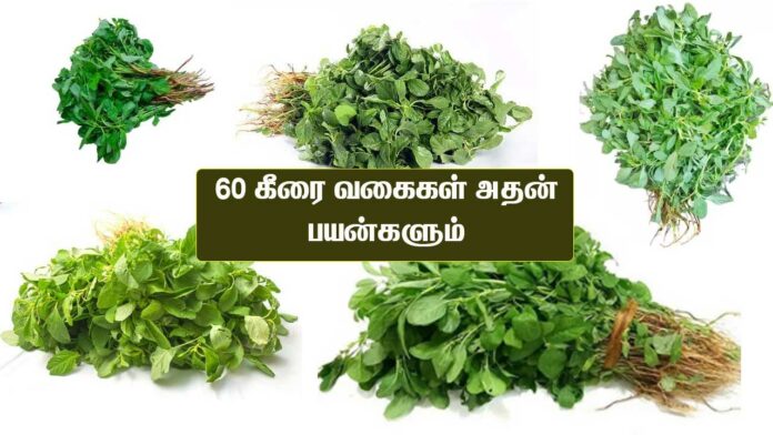 Keerai vagaigal in Tamil