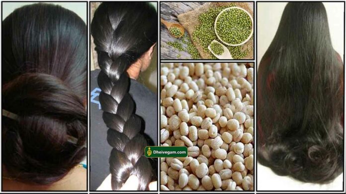 paruppu-hair-pack
