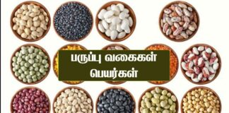 paruppu vagaigal | pulses list in tamil