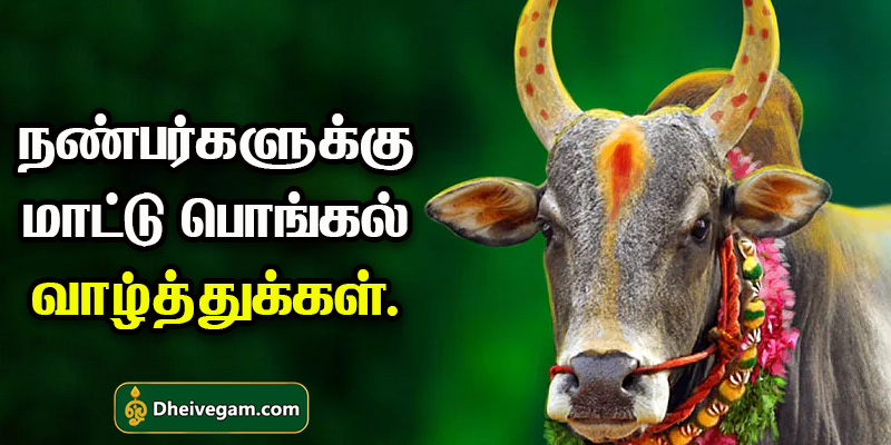 mattu pongal wishes in Tamil