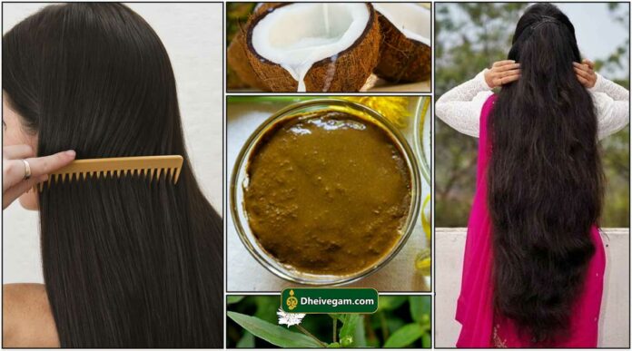 Home made hair pack Tamil