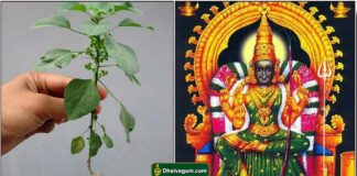 kuppaimeni