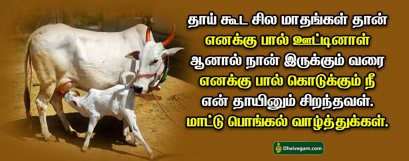 mattu pongal images in tamil 2023