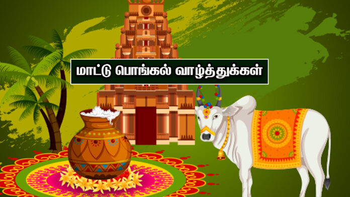 mattu pongal vazhthukkal in tamil