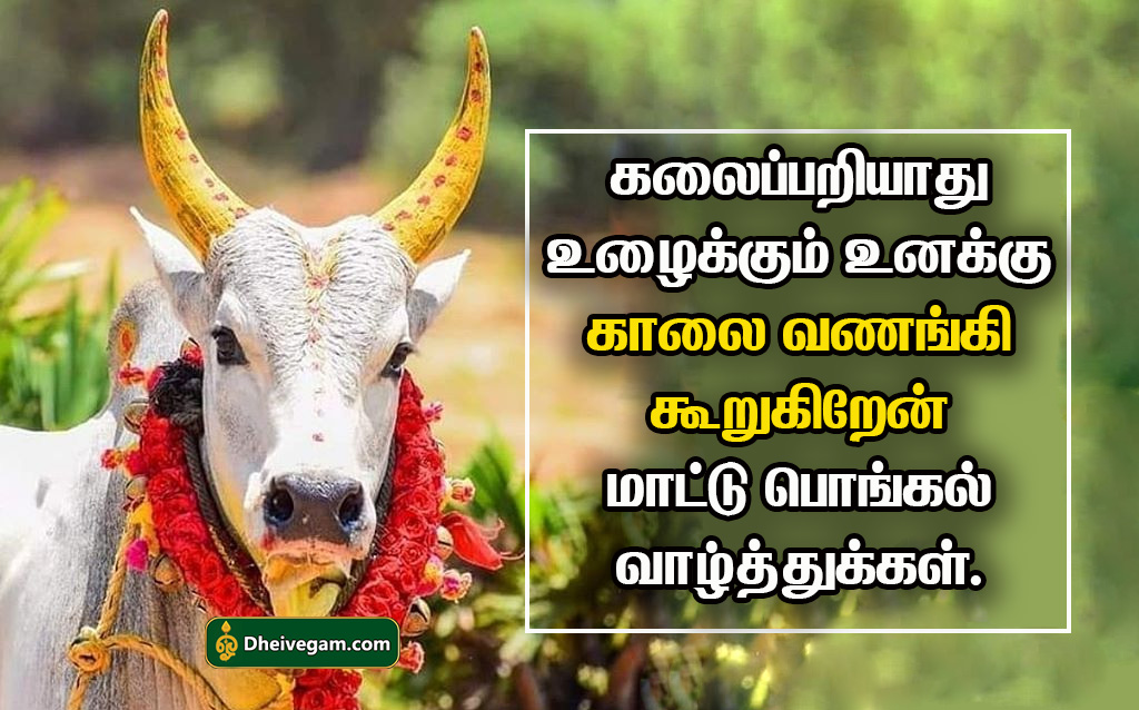 mattu pongal valthukkal in Tamil 2023