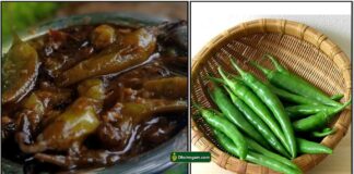 pacha-milagai-thokku_tamil