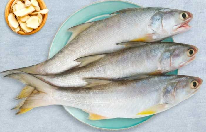 Salmon fish in Tamil