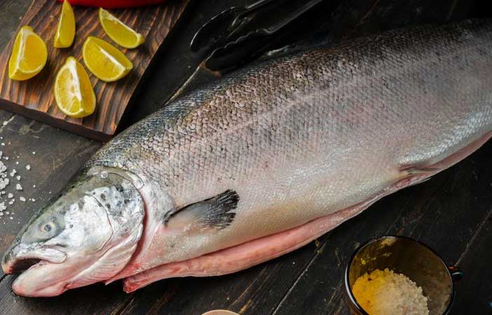 Salmon fish benefits in Tamil