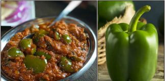 capsicum Gravy
