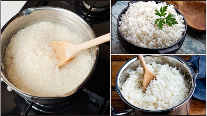 cooker rice