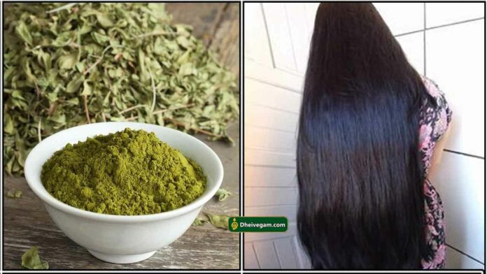 henna-hair-pack_tamil