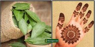 maruthani-henna-tamil