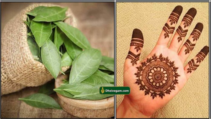 maruthani-henna-tamil
