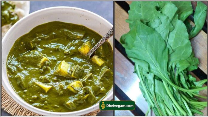 palak-panner