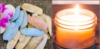 soup reuse candle