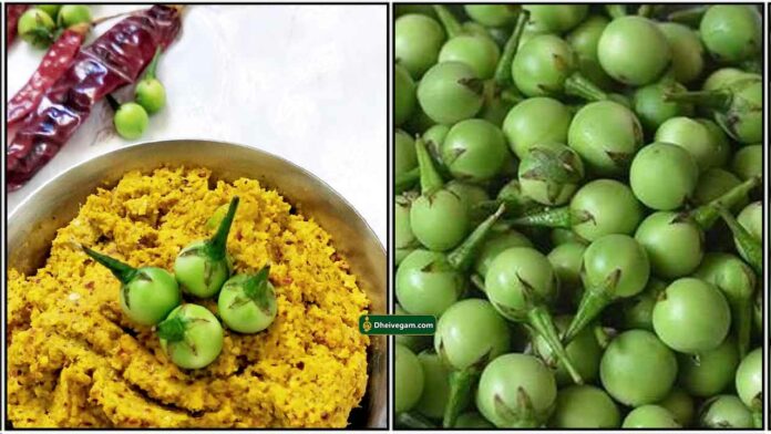 sundakkai-thuvaiyal_tamil
