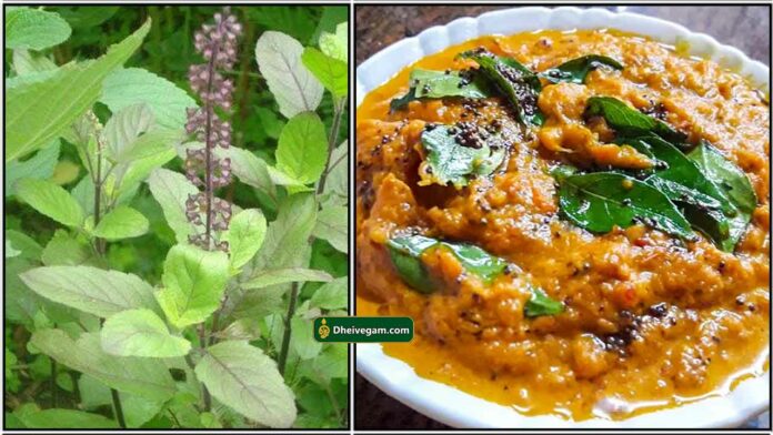 thulasi-chutney1_tamil