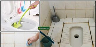 toilet-cleaning-tips