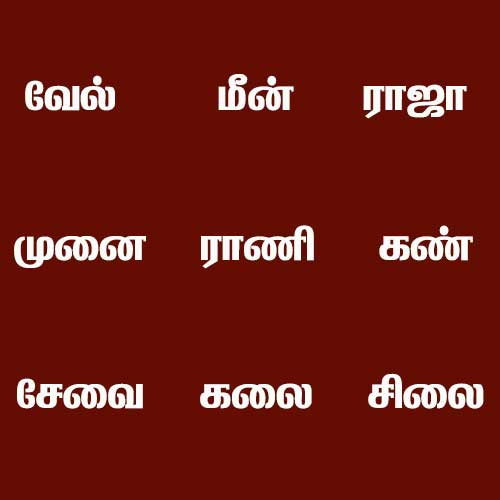 100-two-letter-words-in-tamil