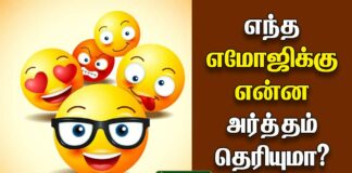 Emoji meaning in Tamil