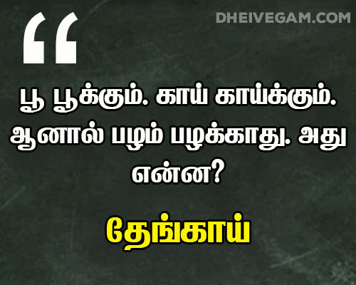 vidukathai in tamil with answers images