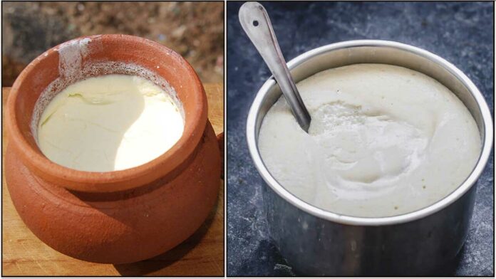Curd Batter