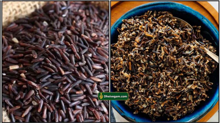 கருப்பு கவுனி அரிசி பயன்கள் | Karuppu kavuni rice benefits in Tamil