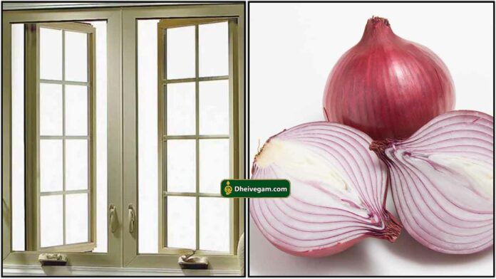 window-onion