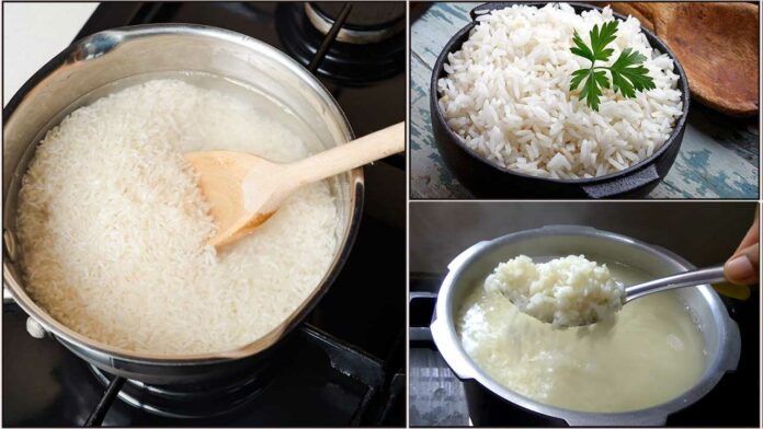 COOKER RICE