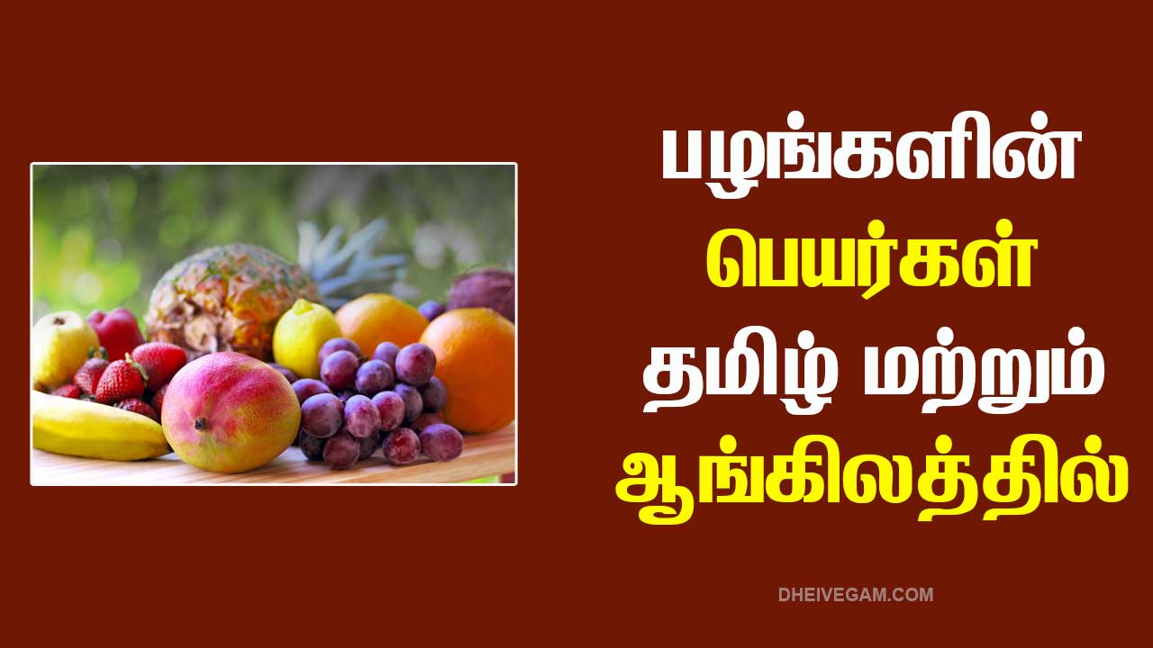 Fruits name in Tamil and English