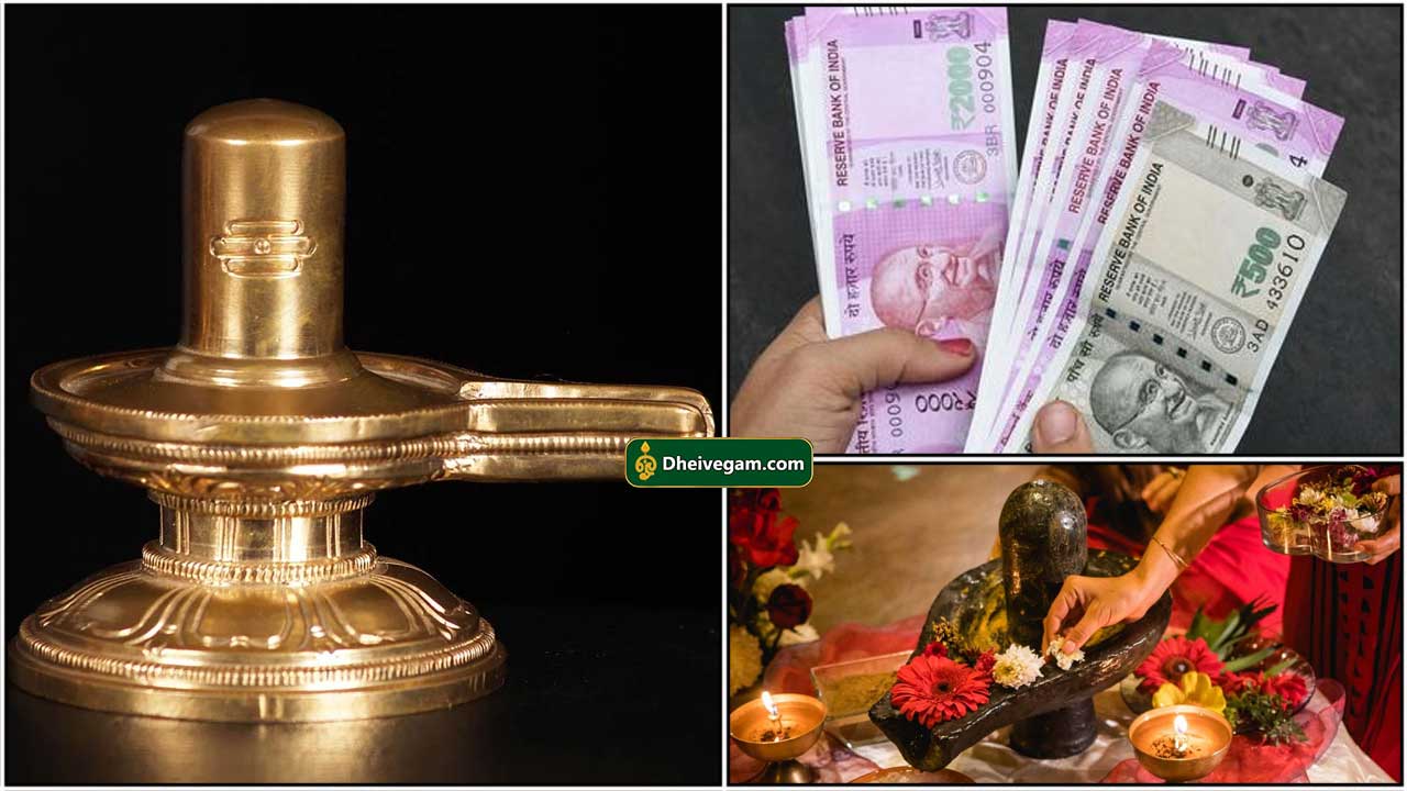 bana lingam benefits in tamil