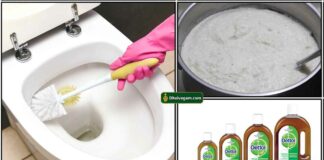 dettol-toilet-cleaning-maavu