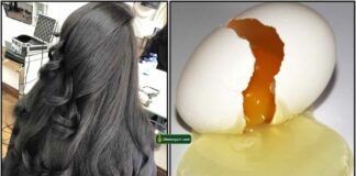 egg-hair-pack-tamil