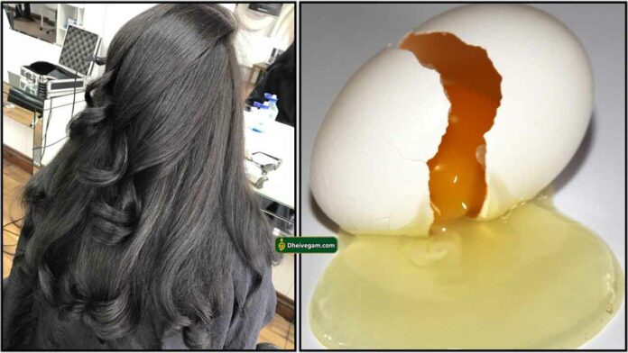 egg-hair-pack-tamil
