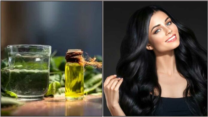 neem water black hair