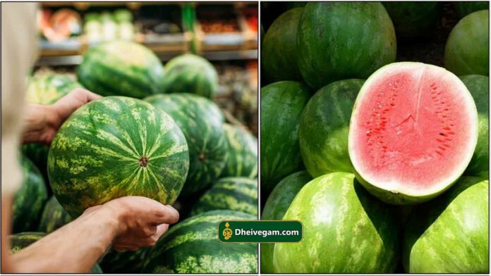watermelon1