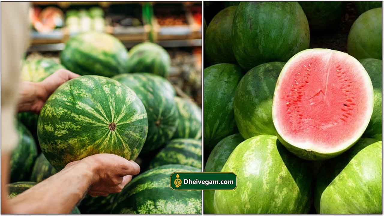 watermelon1