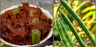 drumstick pickle