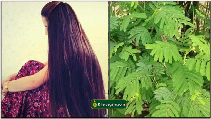 hair21