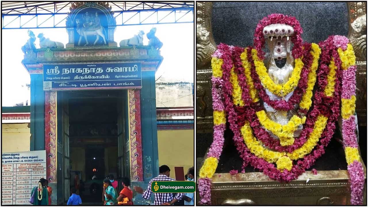 கீழப்பெரும்பள்ளம் கேது கோவில் | Keelaperumpallam kethu temple in Tamil