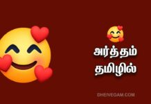 🥰 meaning in Tamil